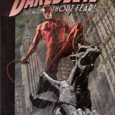 Daredevil Vol. 6 - Lowlife