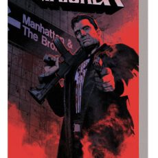 Punisher Vol. 1 - World War Frank